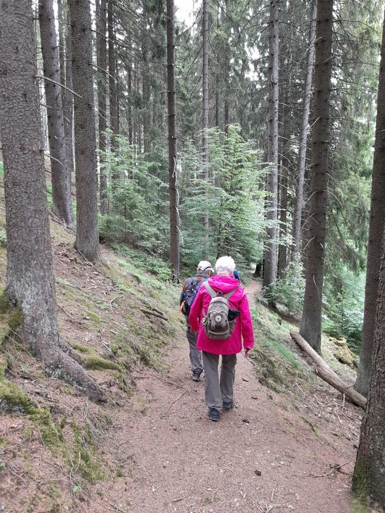 Bild01-Im Zinnbachtal