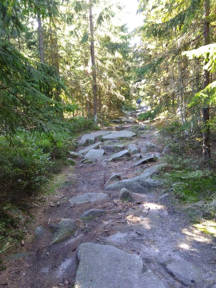 Bild04-Der Höhenweg
